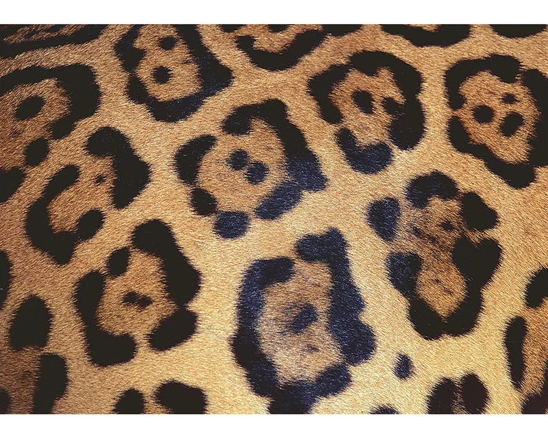 Challenge Manchas de Jaguar Rompecabezas 1000 Piezas Ravensburger