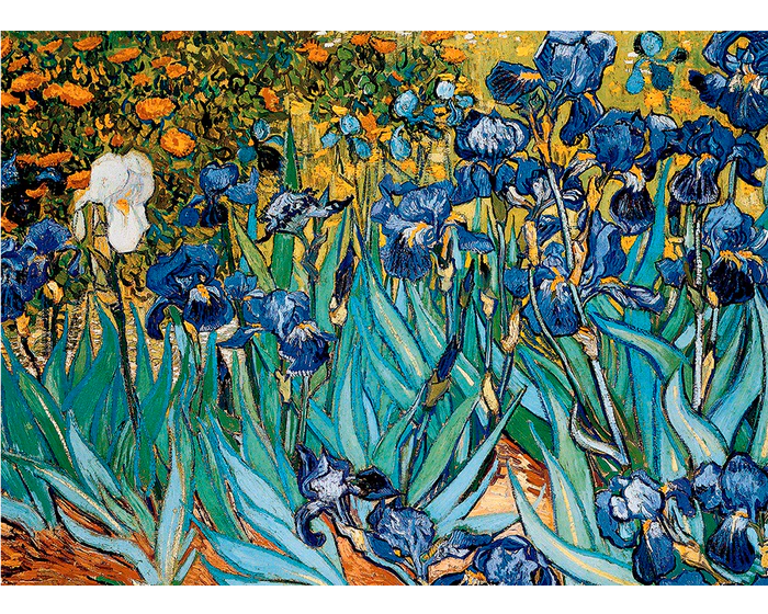 Lirios, Vincent Van Gogh: Rompecabezas de Arte 1000 Piezas Eurographics