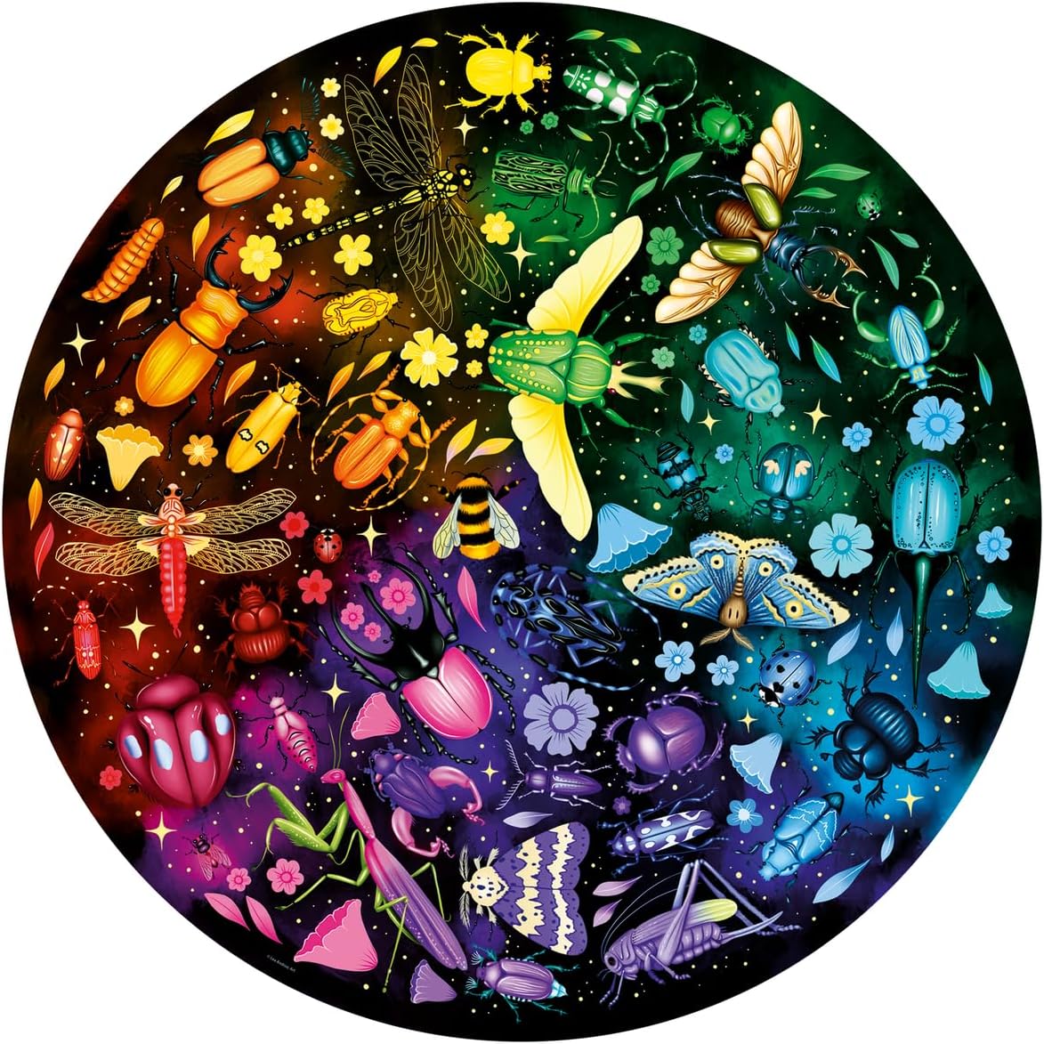 Circulo de Colores Rompecabezas 500 Piezas Circular Ravensburger