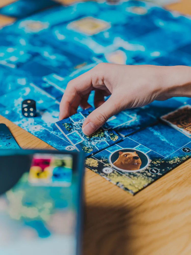 Flow, Juego de Mesa Brain Games