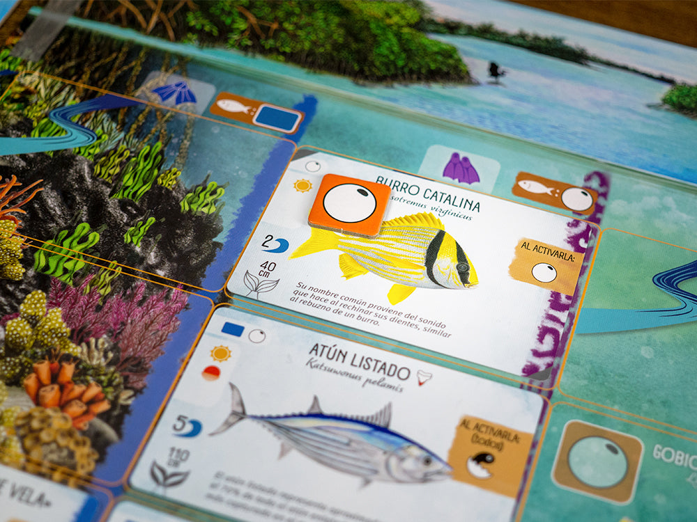 Finspan en Español, Juego de Mesa, Maldito Games