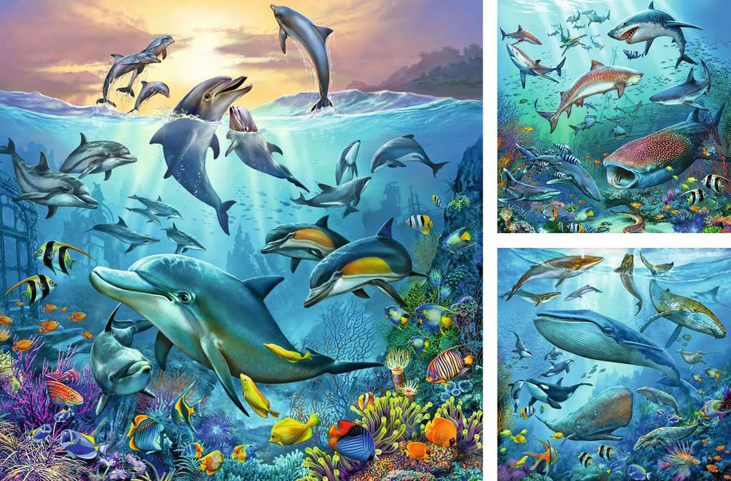 El Mundo Animal del Oceano: Rompecabezas 3 x 49 Piezas Ravensburger