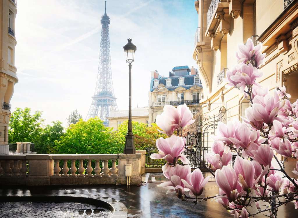 Primavera en París Rompecabezas 500 Piezas Ravensburger