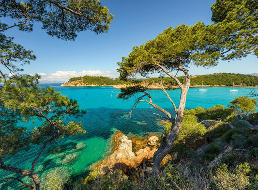 Hermosa Vista: Rompecabezas 500 Piezas Ravensburger