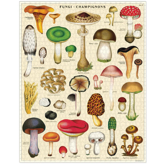 Rompecabezas Vintage Mushrooms