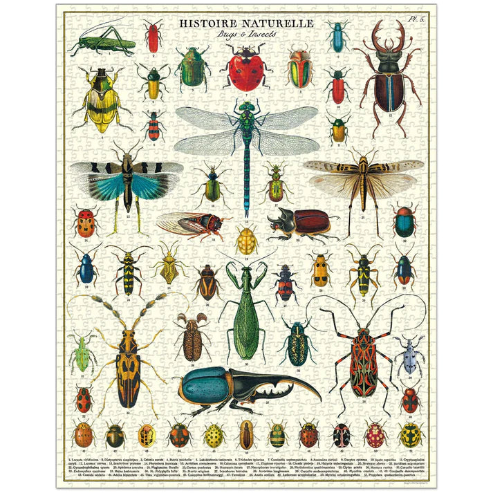 Rompecabezas Vintage Bugs & Insects