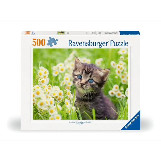 Gatito en el Prado : Rompecabezas 500 Piezas Ravensburger