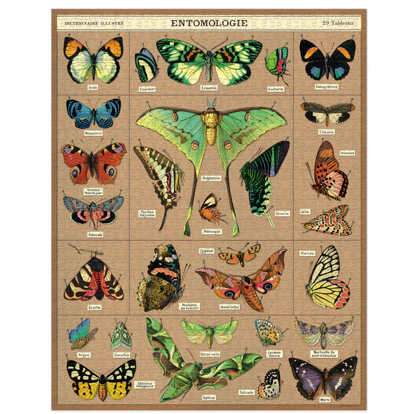 Rompecabezas Vintage Entomology, Cavallini & Co