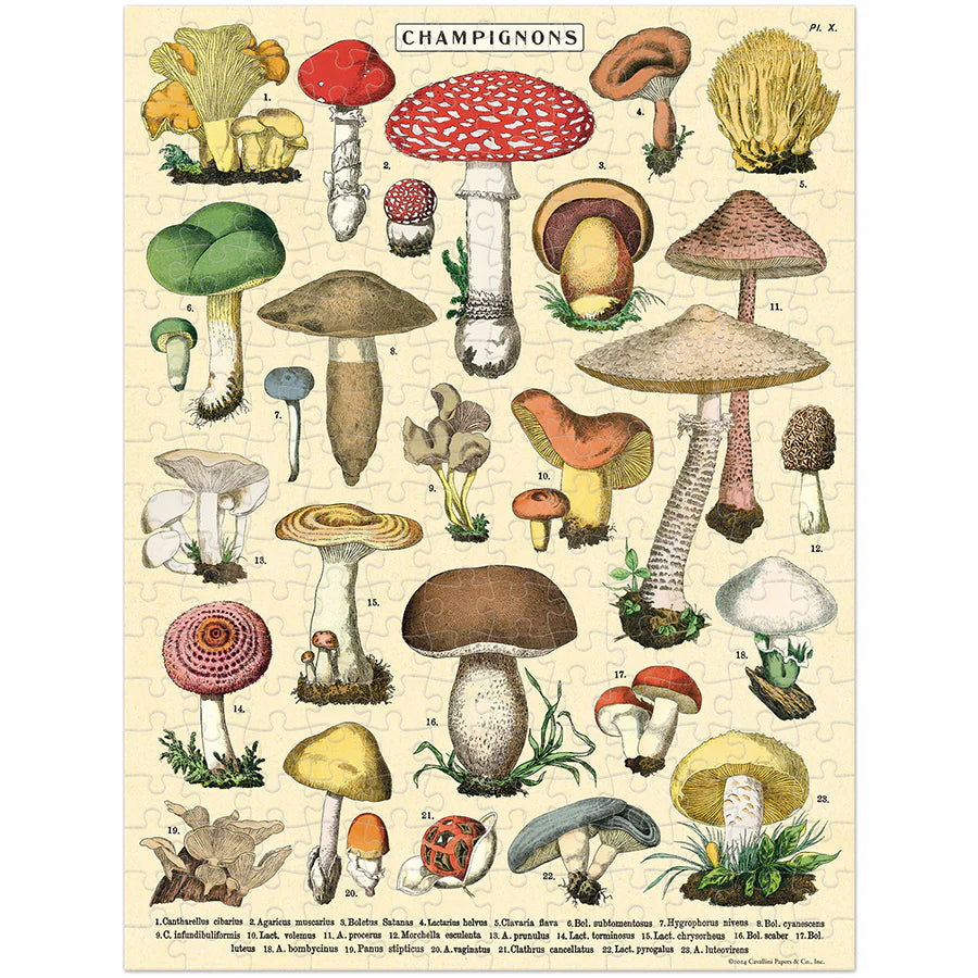 Rompecabezas Mini Vintage Mushrooms 240 Piezas, Cavallini & Co